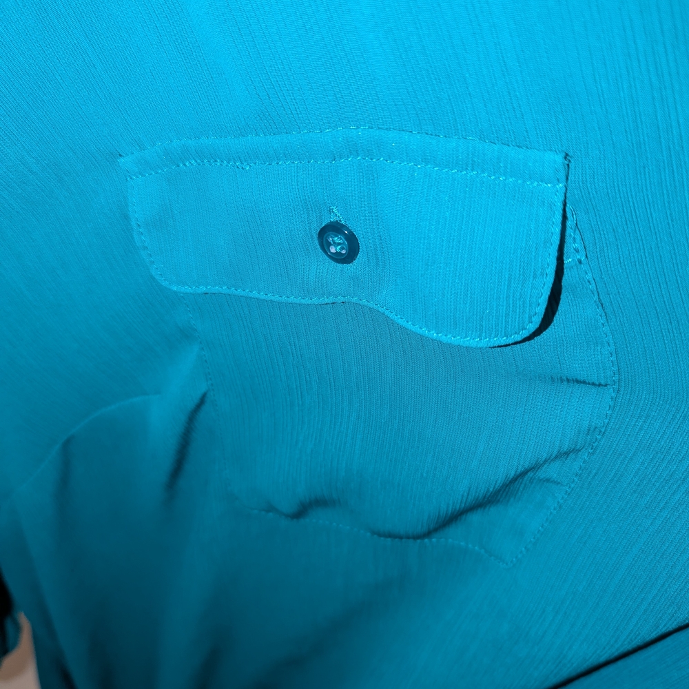 Lane Bryant Sheer Teal Blouse - Picture 3 of 5